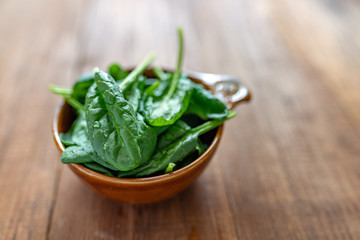 Fresh baby spinach leaves