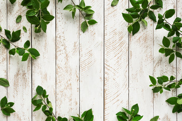 Old background with green leaves