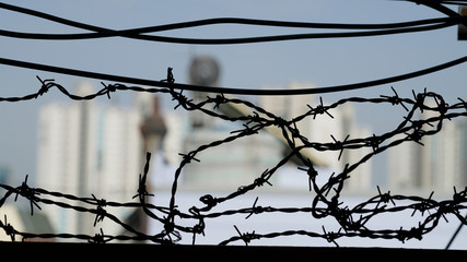 wire entanglement and far-sighted buildings