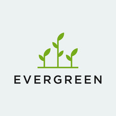 evergreen logo / tree vector