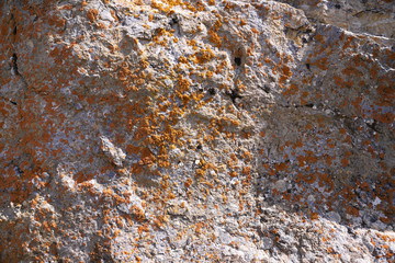 Close-up Mossy Rock Formation That Can Be Used as Background and Texture