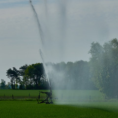 Water jet from an irrigation system for field irrigation on a green field with trees and bushes