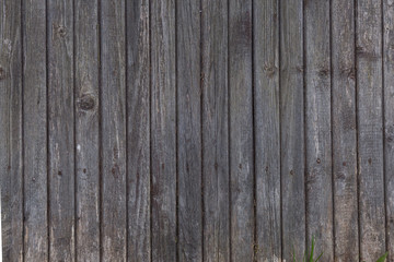 Obraz premium wood textures