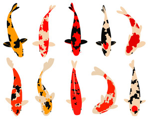 Set of koi carps fish. Сollection of Asian ornamental fish for a pond. Top view of fish. Vector illustration for decorative fishing.