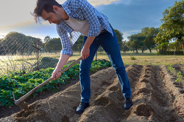 Young man working in the garden