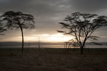 lago nella savana africana al tramonto
