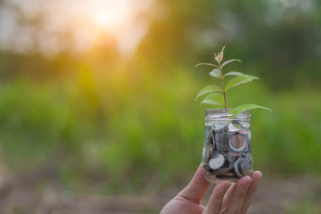 hand holding a plant