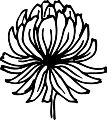 Doodle twigs flowers small elements, abstraction, stylization, flower arrangements Hand-drawn illustration. print, textiles, graphics, ink.
