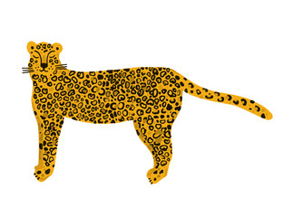 Leopard animal seamless pattern. Tropical plant leaves background.