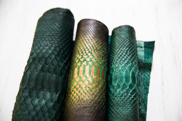 three different tones of trendy green painted snake python skin surface