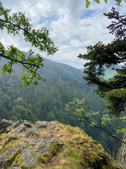 Obraz premium Frühling im Schwarzwald 