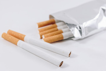 cigarettes on white background