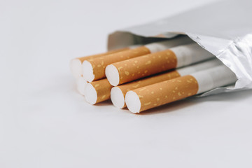 cigarettes on white background