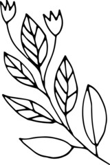 Doodle twigs flowers small elements. Hand drawn illustration. print, textiles, graphics, ink.