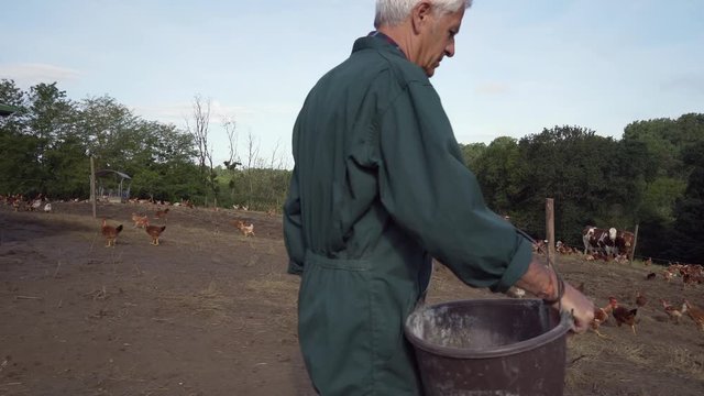 Portrait of farmer in poultry yard