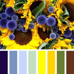 Allium and sunflower palette palette