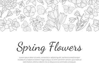 Spring Flowers Banner Template with Wild Meadow Plants and Leaves Pattern and Space for Text, Save the Date, Wedding Invitation, Congratulation Card, Boutique Logo Hand Drawn Vector Illustration