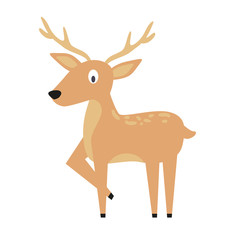 Cartoon deer isolated on white background. Zoo animals. Illustration for children books. Cute vector illustration in flat style