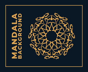 Vector mandala pattern ornament luxury background