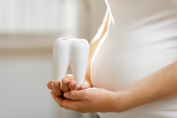 Pregnant woman holding tooth model near her belly, close-up view. Concept of a dental health during...