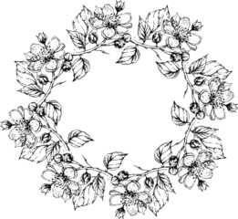 Set graphic with flowers and berries. Drawn illustration separately on a white background. Blackberries, currants, leaves, branches, flowers. Print, textile, wallpaper, paper, vintage, retro.