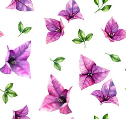 Watercolor floral seamless pattern. Rain of bougainvillea purple flowers isolated on white. Botanical hand drawn tropical background for surface, textile, wallpaper design