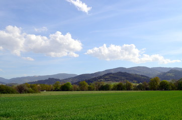Grüne Frühlingslandschaft im Dreisamtal bei Freiburg