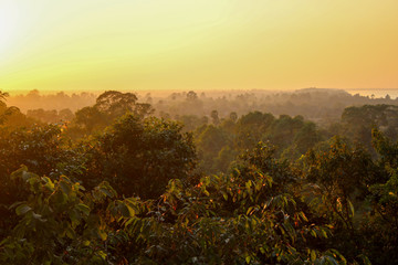 Sonnenuntergang Cambodscha Dschjungel Dschungel Urwald von oben