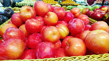 Close-up of a fruit plum