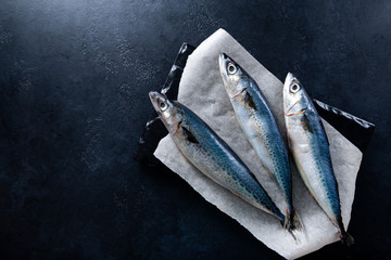 3 fresh raw fish mackerel on a black