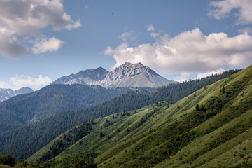 Steppe of Mount Kazakhstnvn hill road