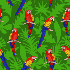 Red and blue big parrots ( macaw ), sitting on the branch on background of green leaves. Jungle seamless pattern. Vector hand drawn illustration. © koshkamurka