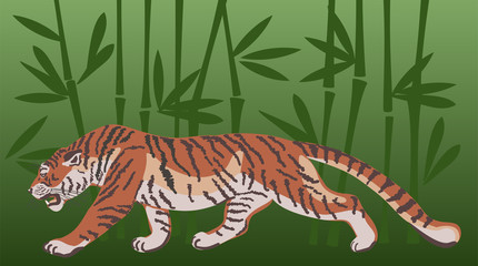 Tiger, walking in the jungle. Bamboo forest green background. Vector wildlife illustration.