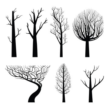Naked tree silhouette set