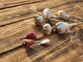 Organic garlic on wooden background. Immunity improves Vegetables