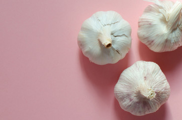 organic garlic on pink background with copy space.