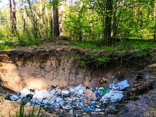 A lot of garbage in the forest. Trash heap. Environmental pollution. Ecological problem concept.