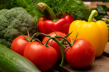 Red fresh tomatoes, dill, and pepper bells