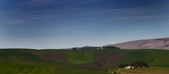 Obraz premium landscape with canola