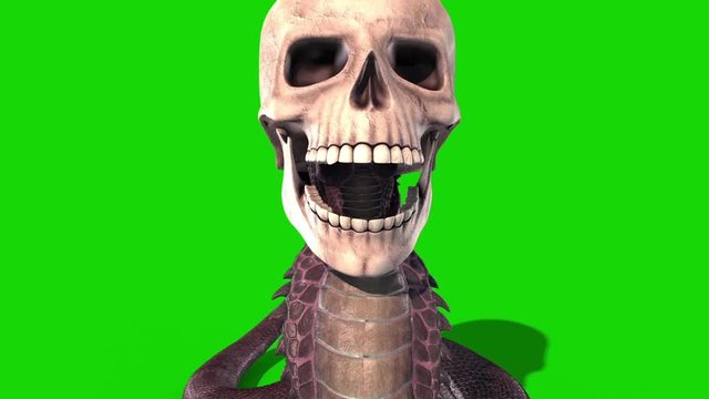 Snake Skull Attacks Green Screen Loop Front 3D Rendering Animation