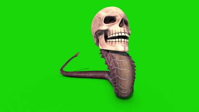 Snake Skull Crawlcycle Green Screen Loop 3D Rendering Animation