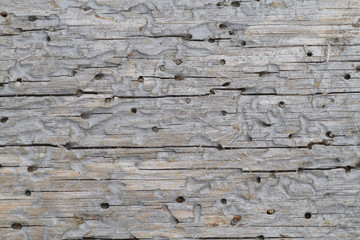 old wood texture