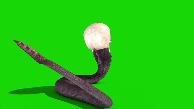 Snake Skull Crawls Green Screen Back 3D Rendering Animation