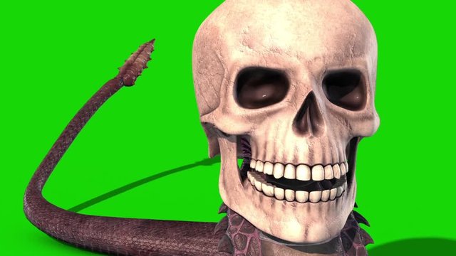 Snake Skull Crawlcycle Green Screen Loop Viper 3D Rendering Animation