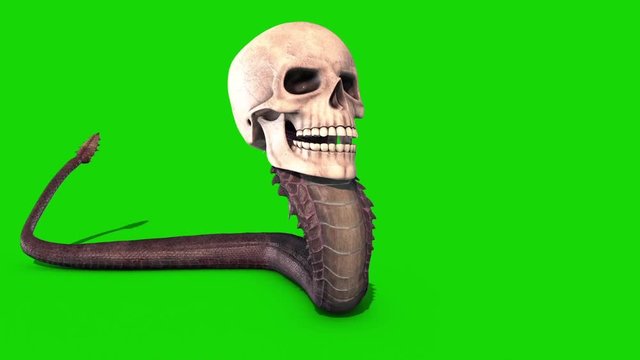 Snake Skull Crawls Green Screen Front 3D Rendering Animation