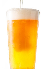 ビールを注ぐ