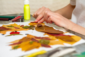 Girl makes an application from dry leaves. Children applique on the autumn theme. Hedgehogs and apple