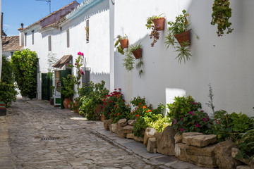 street of an Andalusian town, white facades full of flower pots, cobblestone ground, Castellar de la Frontera, Cádiz