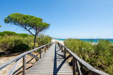 Fototapeta na wymiar Wooden walkway across pine forest to Bolonia beach. Atlantic coast of Tarifa, Province of Cadiz, Andalusia, Southern Spain.