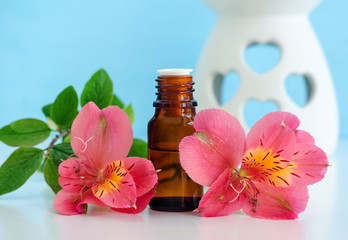 Small bottle with essential oil (tincture, infusion, perfume). Red flowers close up. Aromatherapy, spa and herbal medicine ingredients.